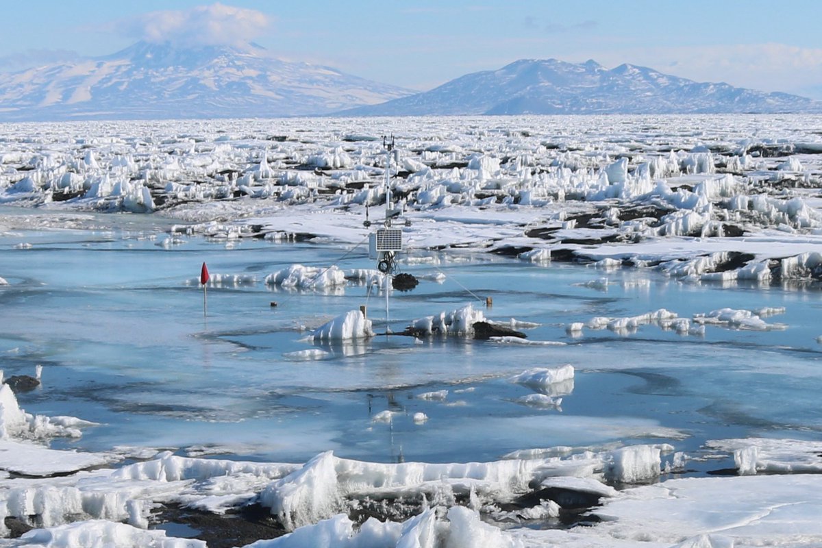 Dr. Alison Banwell (@alibanwell) on Twitter photo Movie of a meltwater lake on the McMurdo Ice Shelf filling and draining: static-content.springer.com/esm/art%3A10.1β¦ Produced from 3015 time lapse photos taken every 30 mins from late Nov 2016 to late Jan 2017. See here for full paper: nature.com/articles/s4146β¦ <a href="/scottpolar/">Scott Polar Research Institute</a> <a href="/CIRESnews/">CIRES</a> @nsidc @NSF_GEO Movie of a meltwater lake on the McMurdo Ice Shelf filling and draining: static-content.springer.com/esm/art%3A10.1β¦ Produced from 3015 time lapse photos taken every 30 mins from late Nov 2016 to late Jan 2017. See here for full paper: nature.com/articles/s4146β¦ <a href="/scottpolar/">Scott Polar Research Institute</a> <a href="/CIRESnews/">CIRES</a> @nsidc @NSF_GEO
