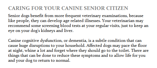 MVVeterinary510's tweet photo. #DoggyDentalExams #VeterinaryServices #Fremont https://t.co/H38dL4ZI5Q