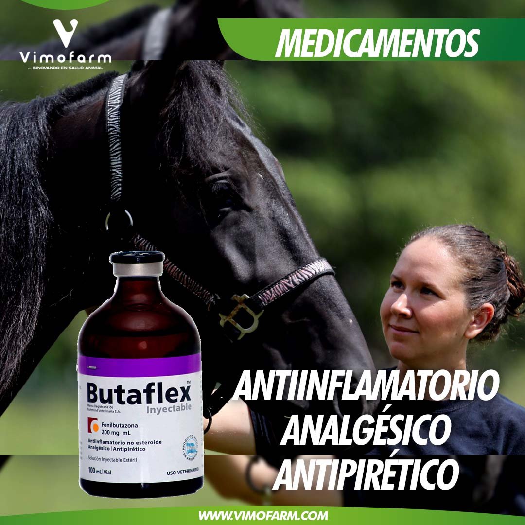 Vimofarmoficial's tweet photo. #Felnibutazona de 200mg, con una acción antinflamatoria no esteroidea, de aplicación inyectable para ser usado en #caninos y #equinos... #horse #caballos #vimofarm #animales #cria #vet #veterinarios #purasangre #medicinas #medicamentos... https://t.co/dSXM6URaR7