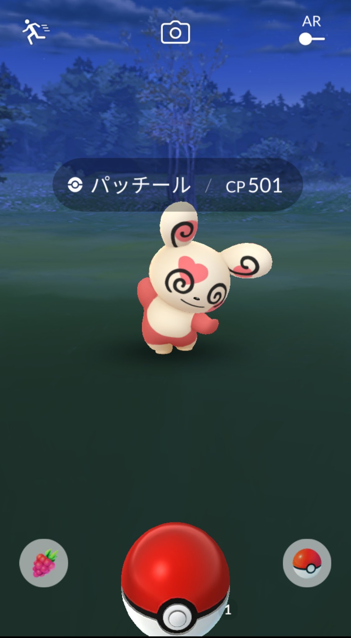 Shinya Xxx パッチール 柄やった 尚番号は関係なし ポケモンgo T Co 5ov3g8aunf Twitter