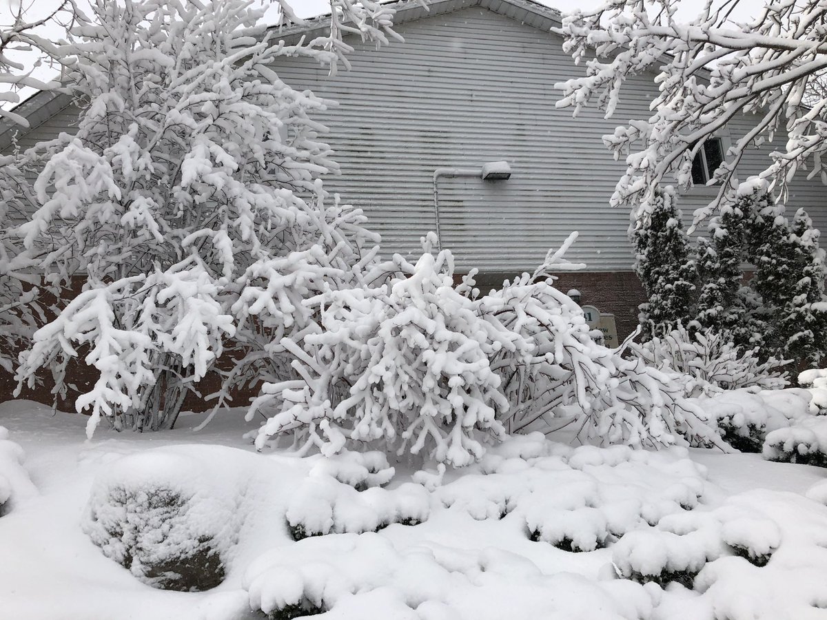 TosoRadio's tweet photo. The weather may be crazy right now in #KWAwesome but it sure is beautiful https://t.co/k8oSEjP9zz