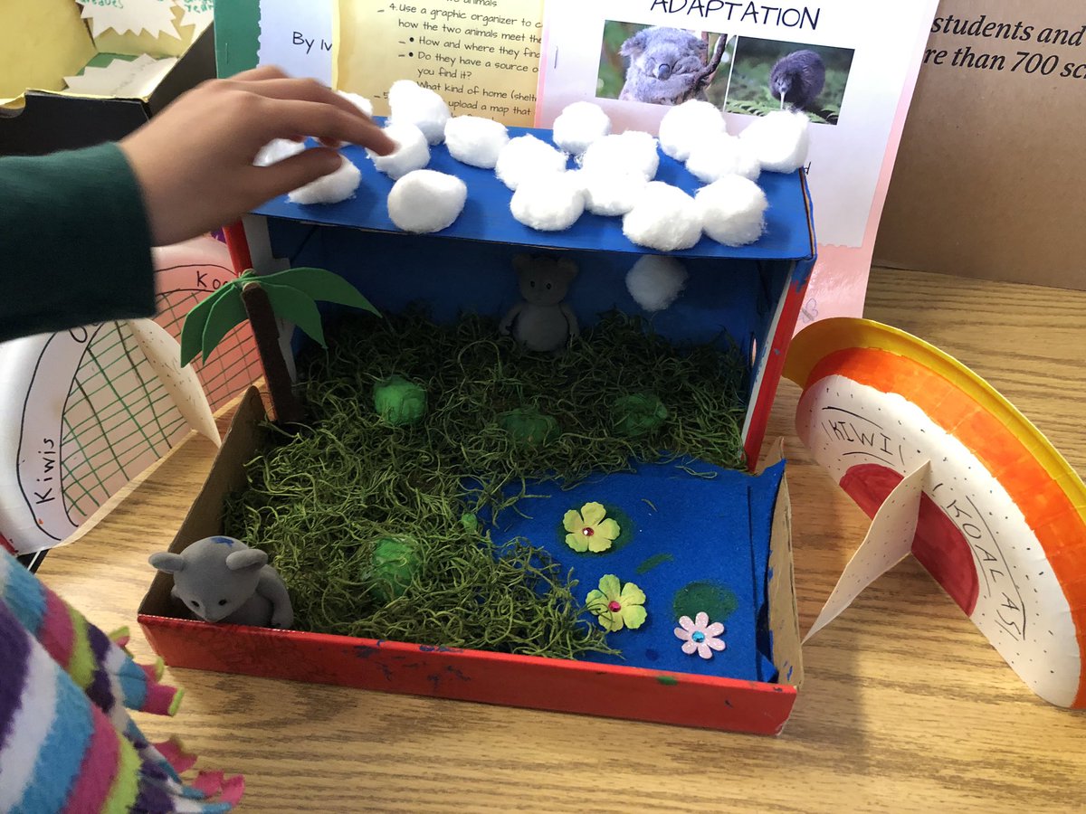 dorsaeagles tweet media