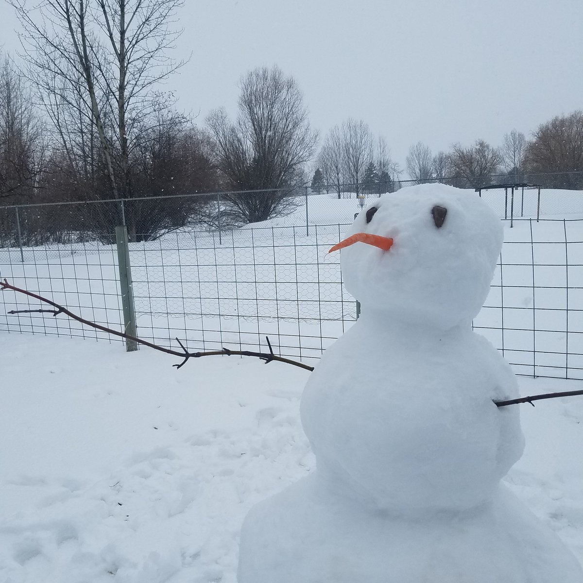 PBJamJelly's tweet photo. Snow day! #snow #snowman #winter #toddlerlife #mamaistired https://t.co/HLrkieDQaP