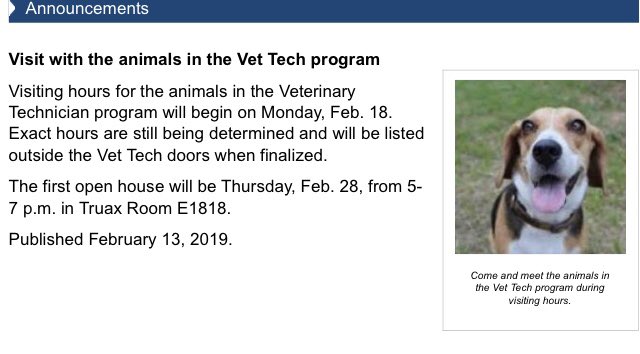 DrKitrinkles's tweet photo. So this is a thing I just learned about @MadisonCollege that I will be taking full advantage of!! #dogsrule #dogsatwork https://t.co/YkJ9Cpcs93