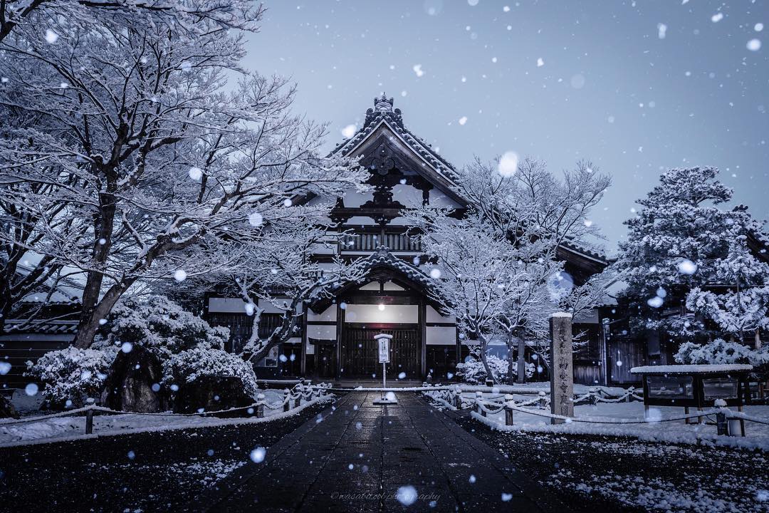 AestheticsJapan's tweet photo. Kyoto Snow
📷: @wasabitool https://t.co/E3NaN4eD5x