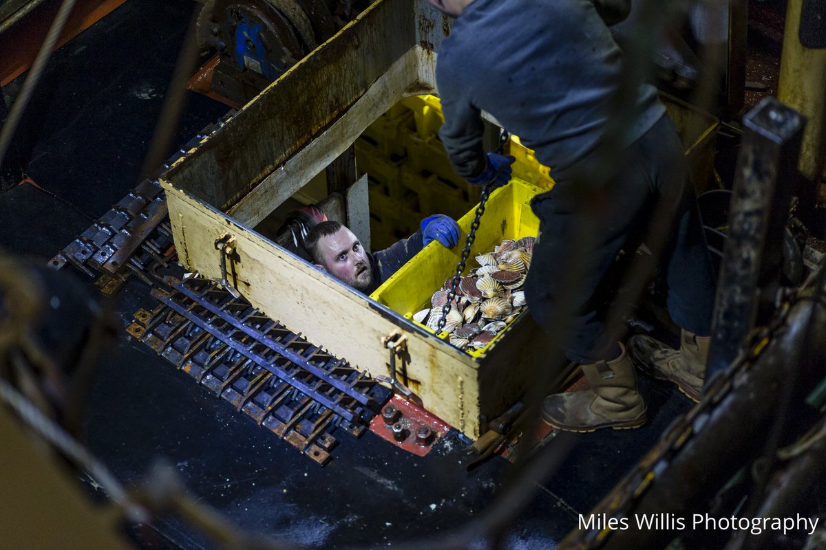 Day boats land their catch in the inky blackness of <a href="/Brixhamfishmkt/">Brixham Fish Market</a>, so much respect for the fisherman who do this day in day out. #sustainablefishing <a href="/UKSustain/">Sustain</a> <a href="/FishCities/">SustainableFishCity</a>
