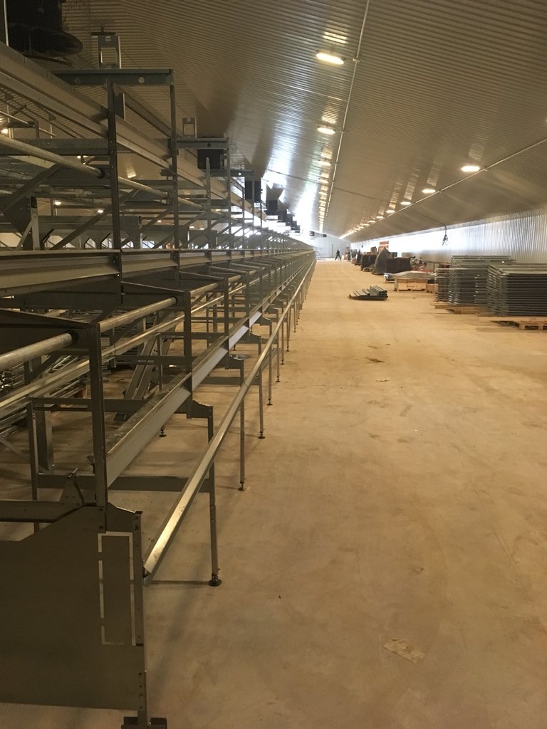 Will Patterson tweet media