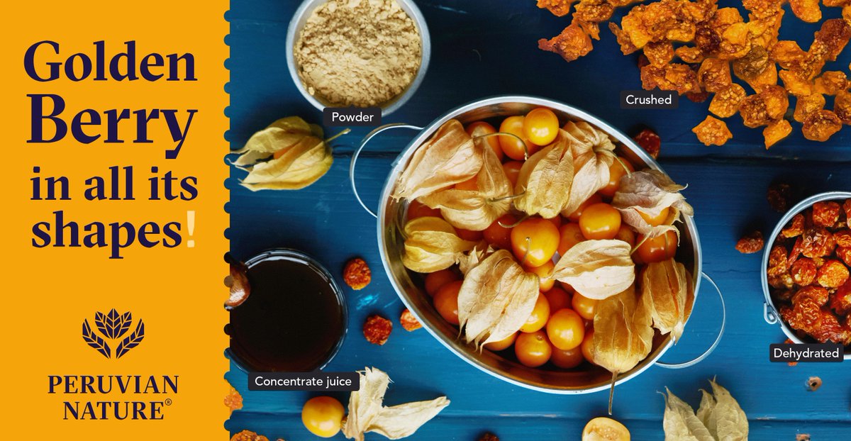 PeruvianNature's tweet photo. There are 4 delicious ways to enjoy the Golden Berry, also known as Aguaymanto! Know which of these options you would like to try!

Golden Berry powder / Extract powder, Dehydrated, Concentrate juice Crushed.

sales@peruviannature.com https://t.co/SGLtnOpFyP