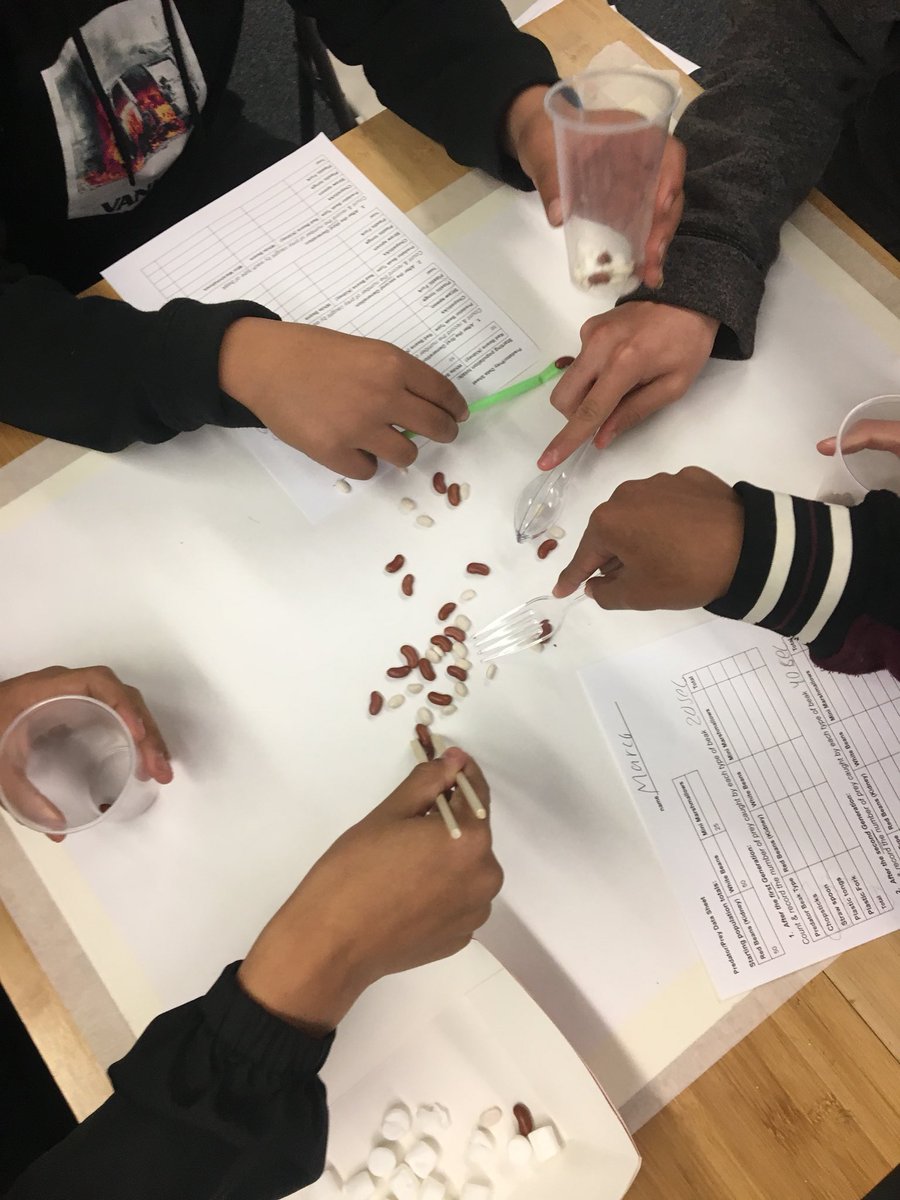nattydempsey's tweet photo. Adaptation of Darwin’s Finch Beaks lab today! 🐦🐧🐔🐥 #DarwinDay2019 #evolution #galapagosislands #HHSsped #OUHSD https://t.co/5u5fxD8fHu