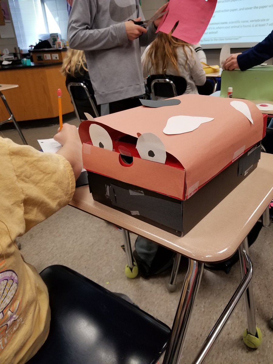 MrsLauraAdamsEM's tweet photo. Students are almost finished transforming shoe boxes into vertebrates! #RCEscience #RCEcreates https://t.co/HPt0ZYcdBm