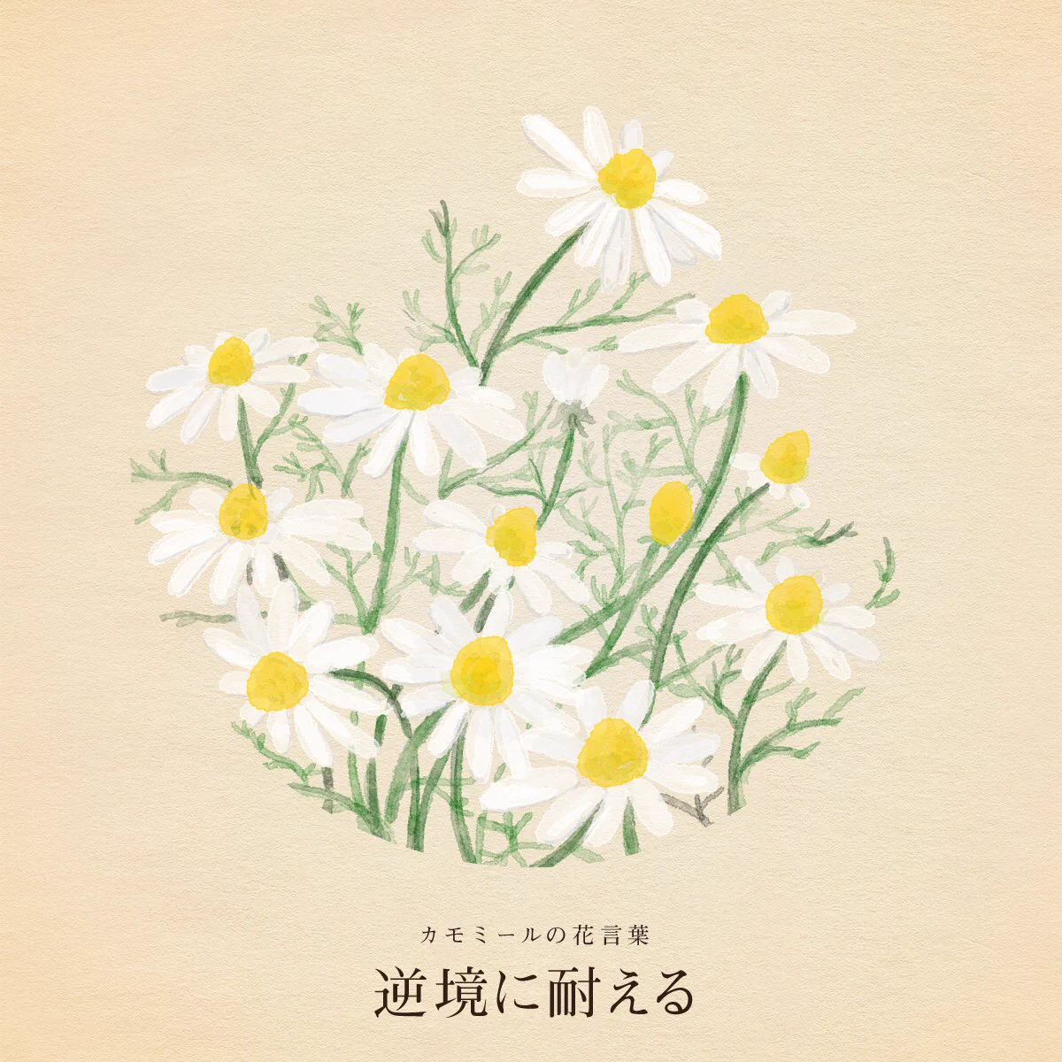 いつから2/14はバレンタインだけだと錯覚していた？