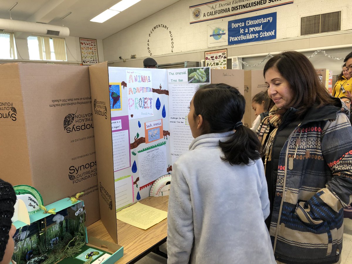 dorsaeagles tweet media