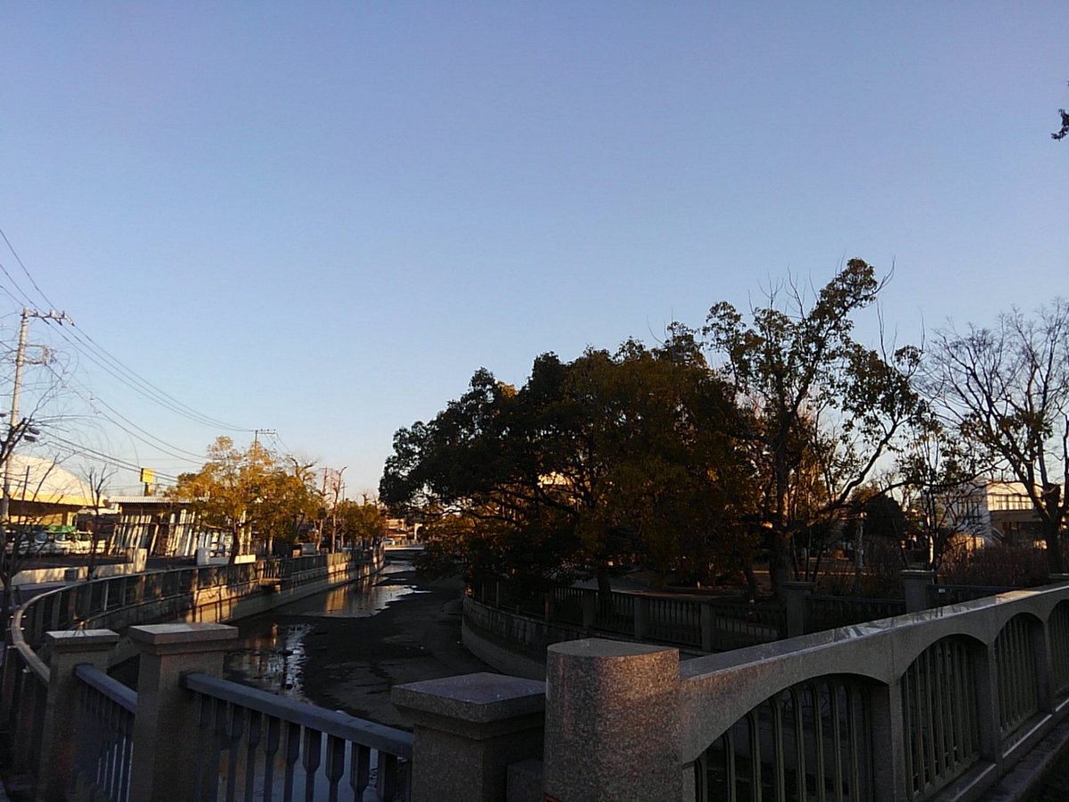 荒神橋 hashtag on Twitter