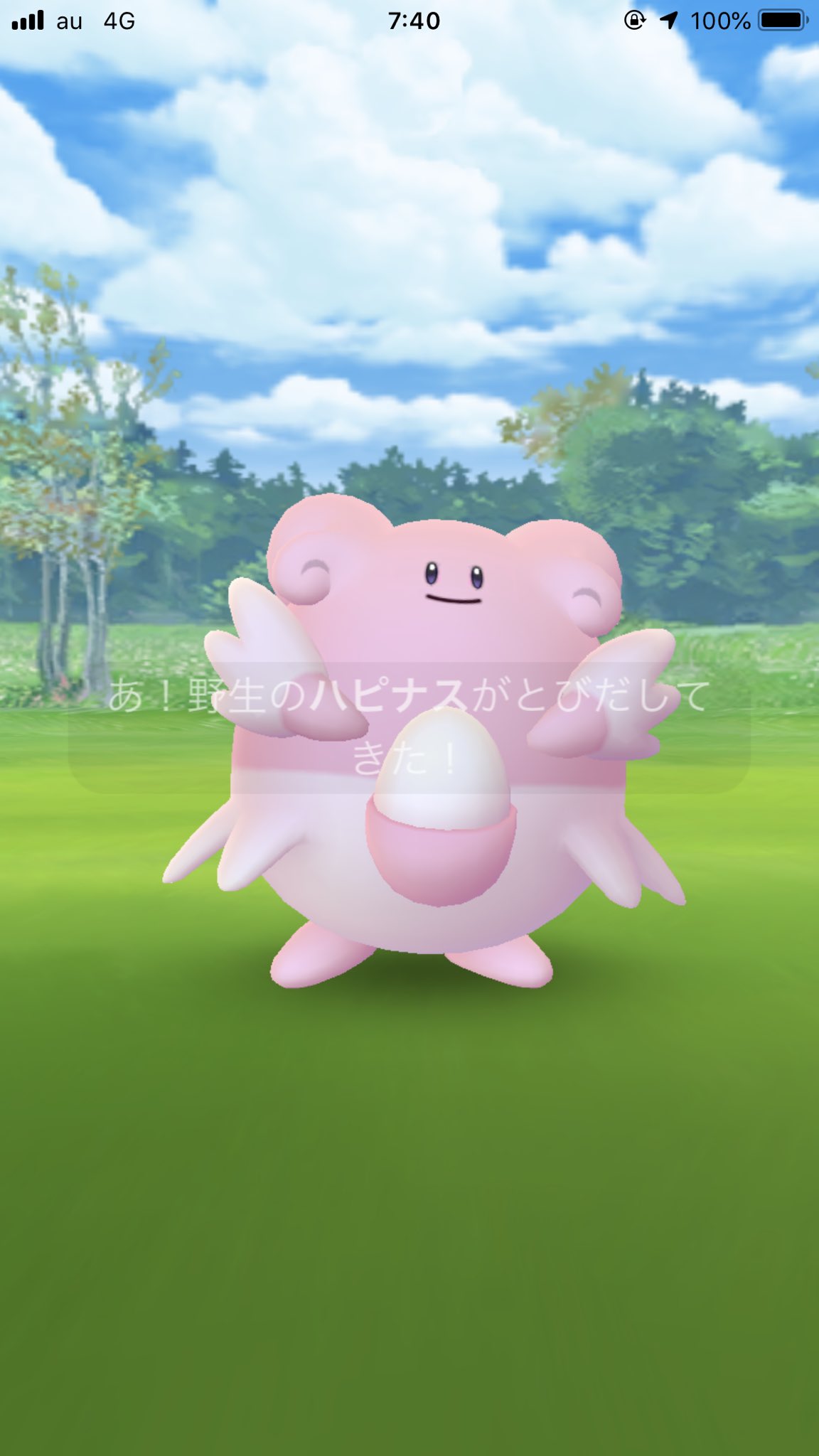神奈川tl39赤ポケgo垢 朝一で近所にズガイドス湧いてて捕まえに行ったらまさかの野生ハピナス出現 º º ラッキーが レイドにいるみたいだけど思いがけない収穫でした W これもバレンタイン効果なのか W ポケモンgo T Co Hftliitvdh