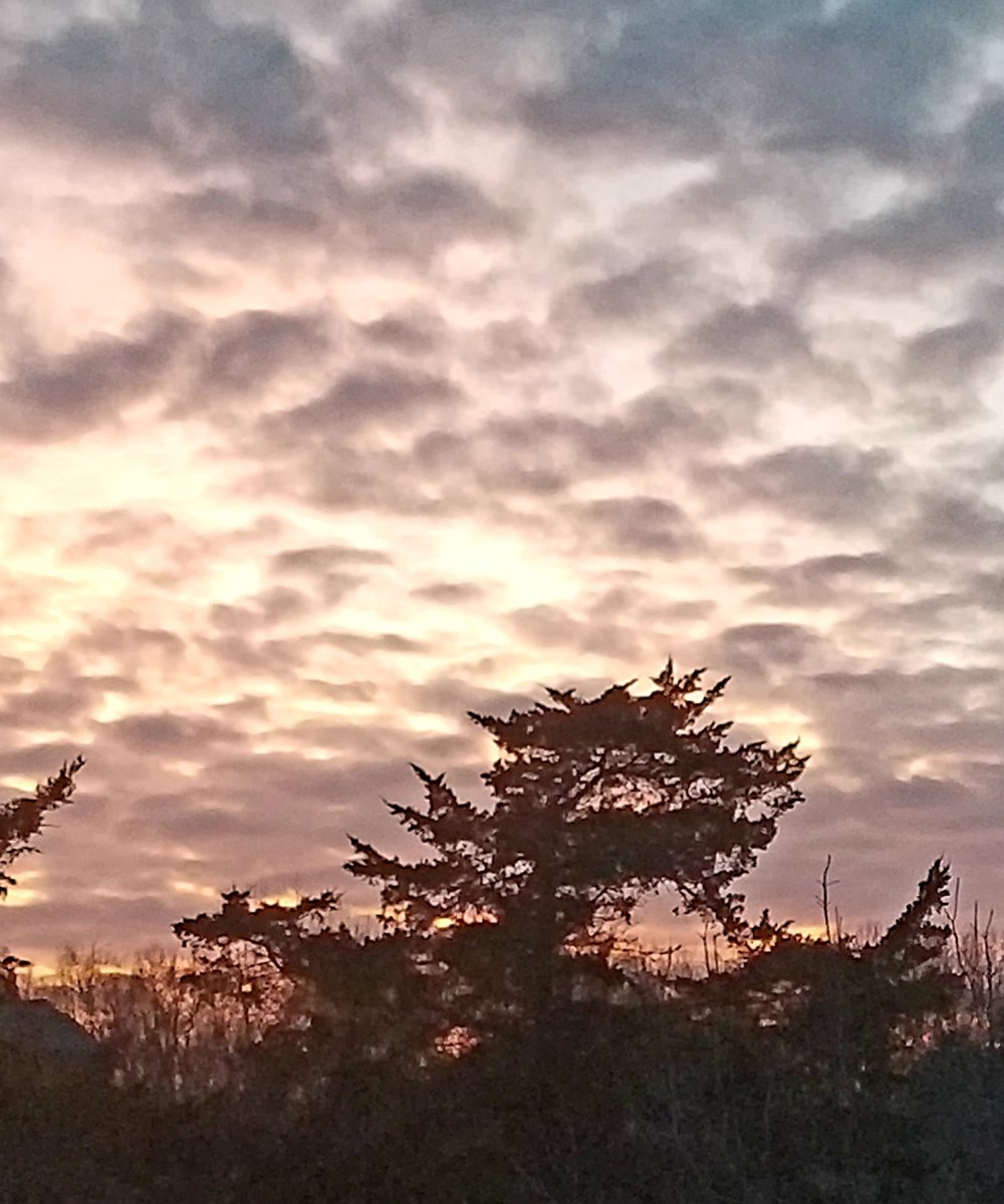 RandiNaughton's tweet photo. Thank you sky!

#STLSunset
#stlwx 

@FOX2now https://t.co/8g25Q0XomJ