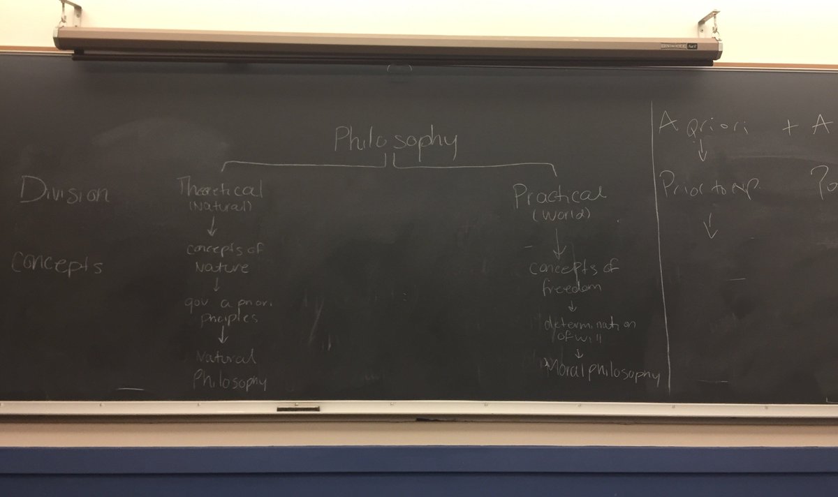 Samantha Rose Hill tweet media