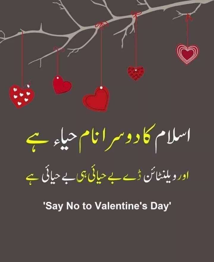 awais6315's tweet photo. #14Feb #کامیابی_کا_سفر #SayNoToValentine #HayaDay #ValentinesDay #13_Feb #TrueLoveDay #news #February https://t.co/9pr49rnqOW