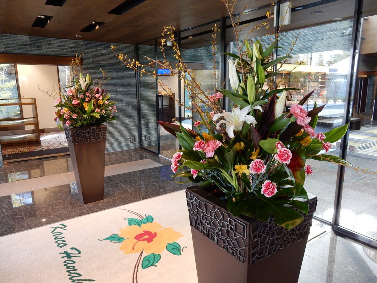 キャスコ花葉club 本c 花葉c 玄関入口 ロッカー前のお花が変わりました ご存知の通り造花ではなく生花です 是非 足をとめてご鑑賞ください キャスコ花葉club 本c 花葉c 玄関入口 ロッカー前のお花が変わりました ご存知の通り造花ではなく生花です 是非 足をとめてご鑑賞ください