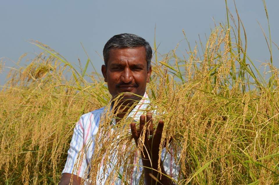 DelhiOFM's tweet photo. #RICEUP AND SHINE- An #ExpertPanel Discussion on Rice Diversity. MEET OUR PANELIST:-
2)Anjaneya Andanur - A Plant genome saviour Farmers' awardee by PPVFR . A well known rice activist,saved over 100s of varieties of the traditional rice.https://t.co/Y83QM7D78I https://t.co/FePAod6Ist