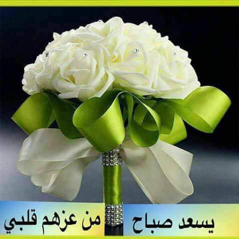 حلا (@hhala2551) on Twitter photo 