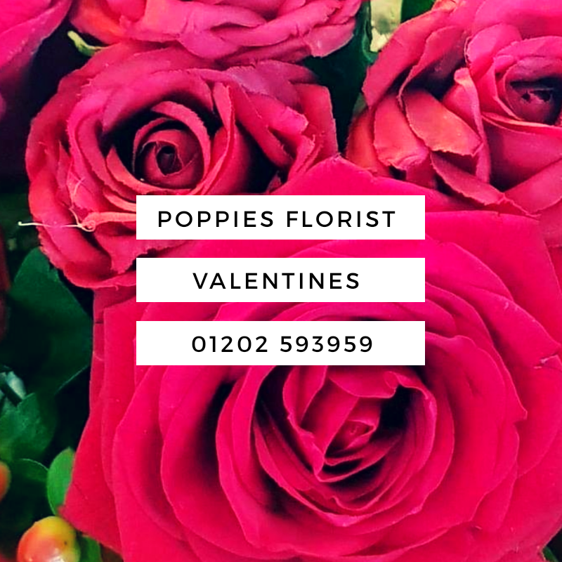 PoppiesFloristB's tweet photo. Flowers you send on valentines #floristsandflowers #localflorists   #flowers #floral #love #flowerstagram #valentinesday #love #valentines #heart #happyvalentinesday https://t.co/SFDVrVoS0Q