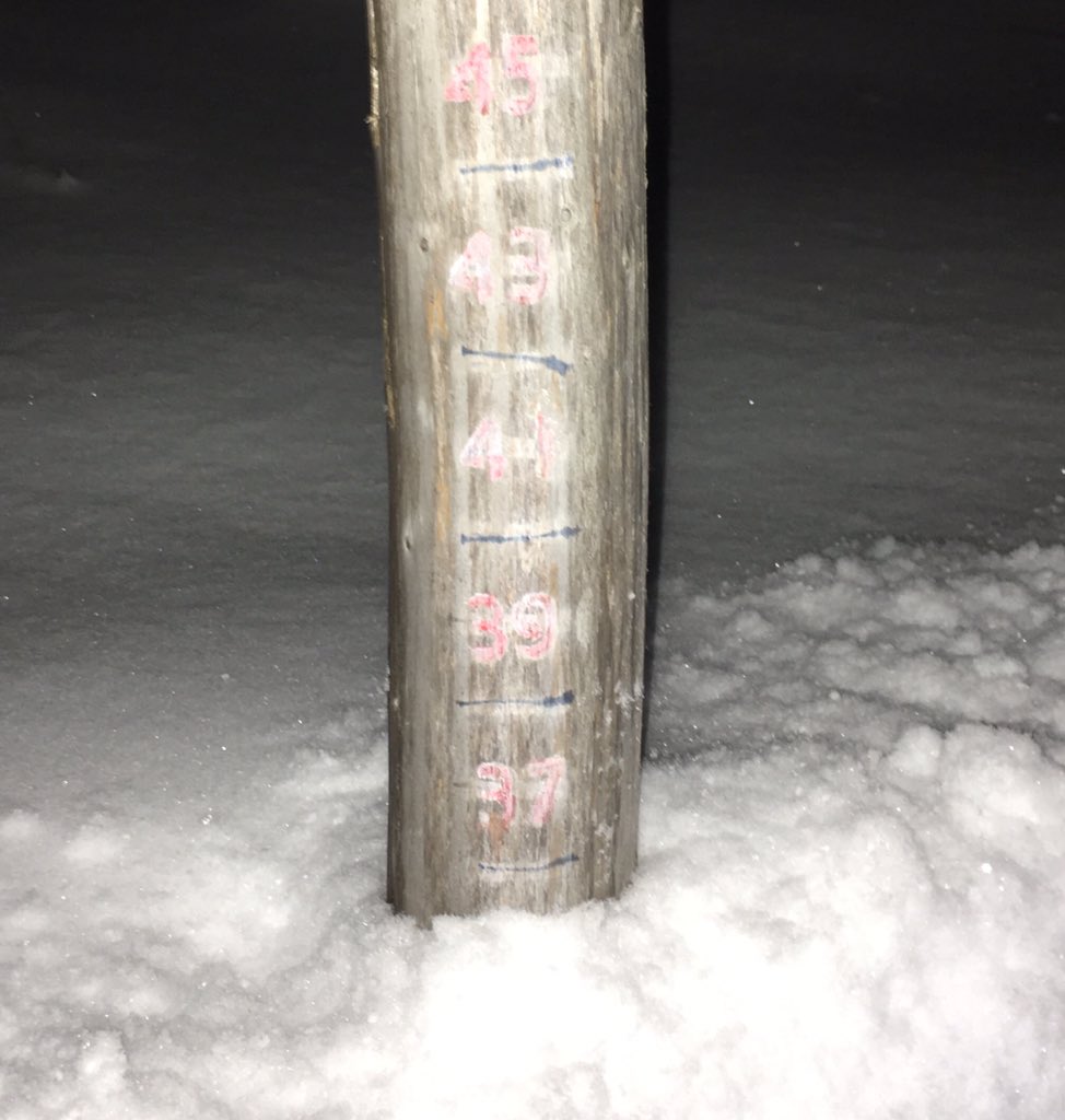 After the #Snowstorm. Currently 36” inches of #Snow on the ground. #MunisingMI #SnowPole