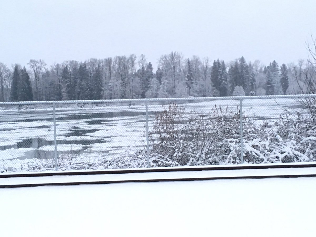 amdacosta06's tweet photo. May look like a postcard but this is actually the Fraser River from the Port Haney West Coast Express Station. Lots of ice floating on the water. #nofilter #fraserriverbc #mapleridge #maleridgebc #porthaneystation #westcoastexpressstation #iceflows #snow #frosty https://t.co/UTarTNNya3