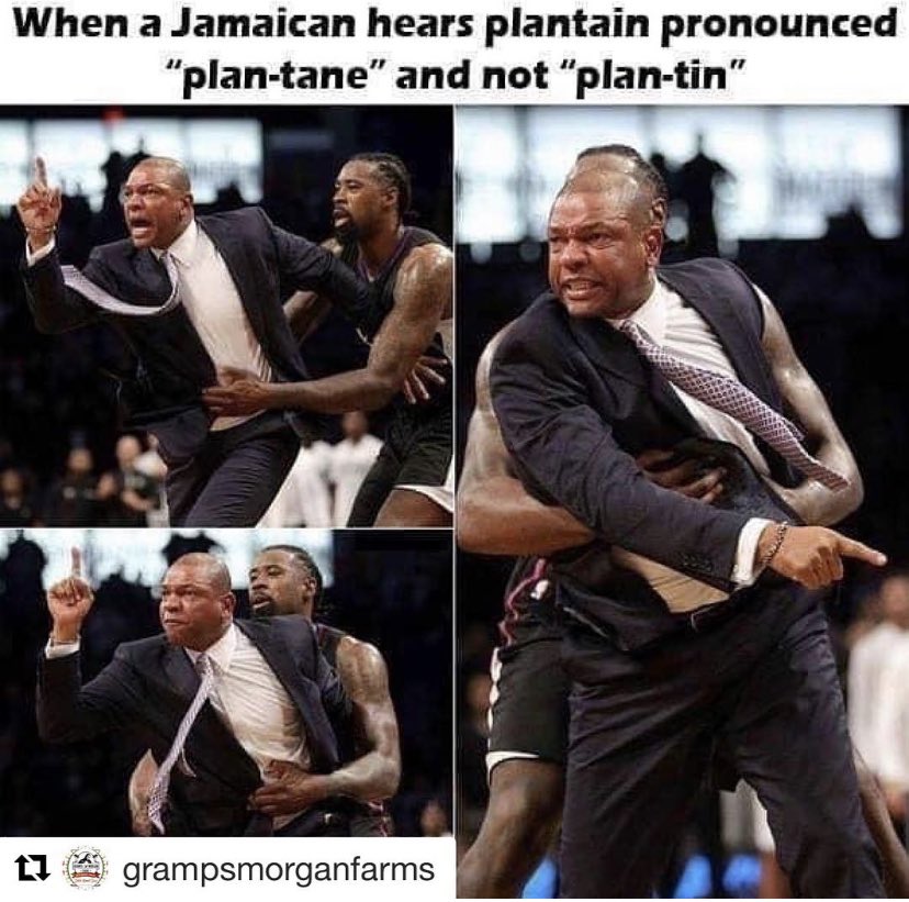 #themoreyouknow🌈 
THURS 
LUNCH 12p-2p 430 California St.
EVENING 5p-8p <a href="/towmarket/">Taste of the World</a> ORINDA 

#scotchbonnet510 
#jamaicanfood 
#friedplantain
<a href="/grampsfarms/">Gramps Morgan Farms</a>