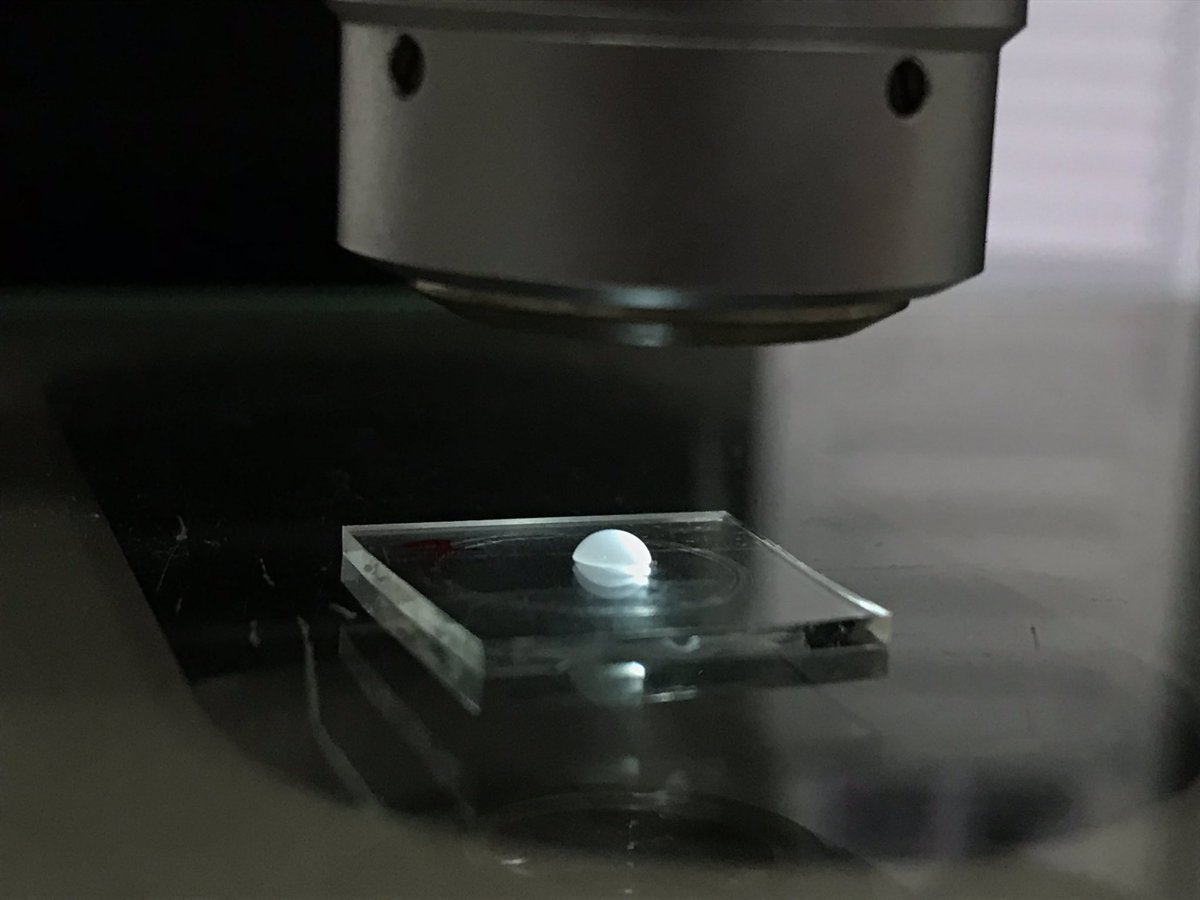 InstabilityLab's tweet photo. #Progressing Droplet evaporation under Optical Microscope #evaporation #experimentsunderway  @sumitasahoo @rabibrata https://t.co/N4ttX9fbft