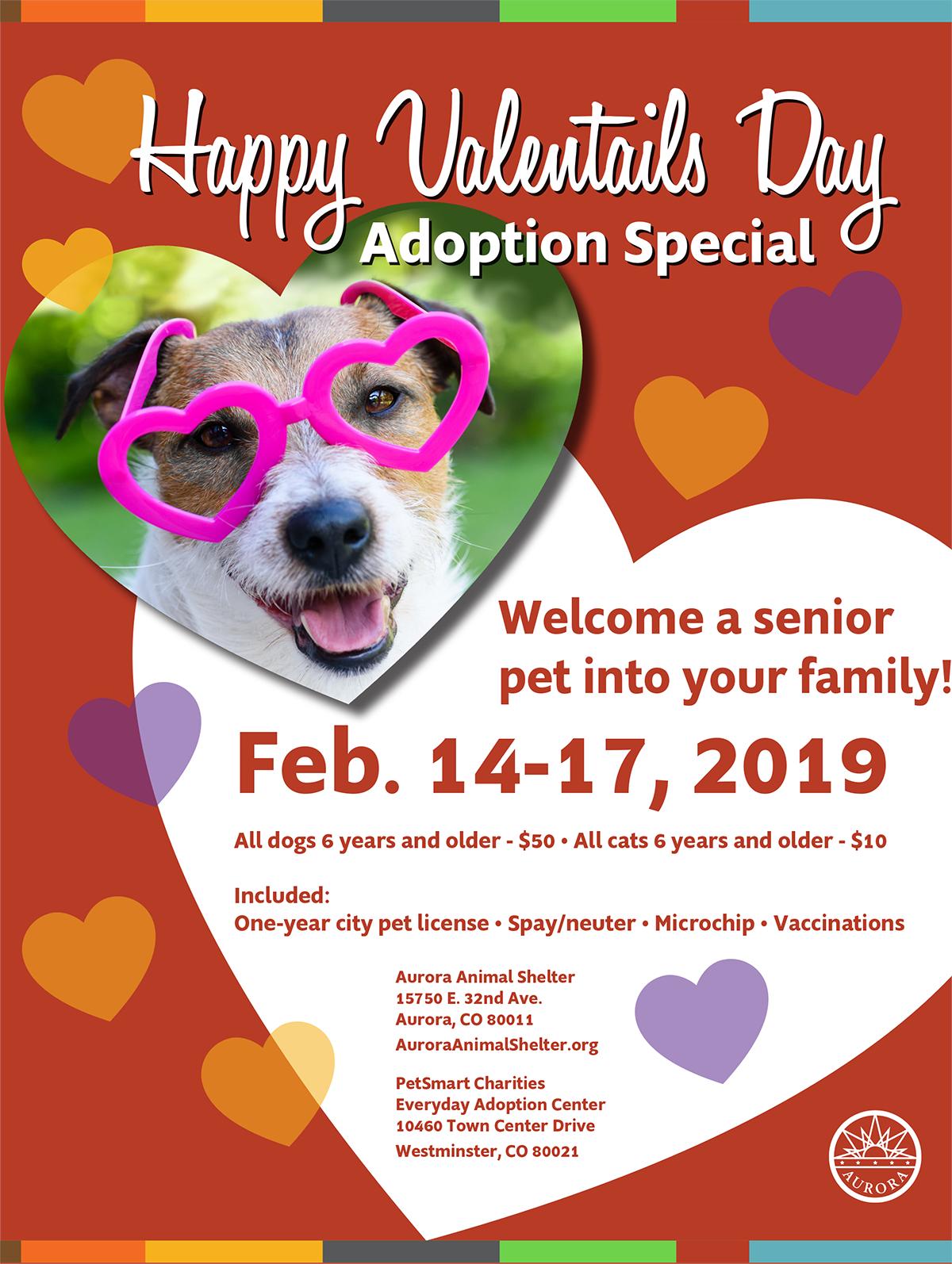 Aurora Adoption Center 2025