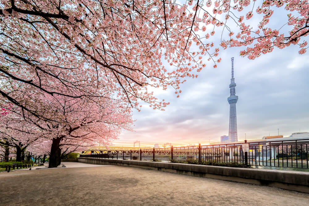 Travel Wire Asia tweet media