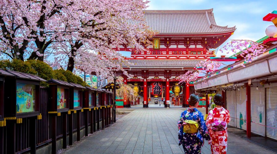 Travel Wire Asia tweet media