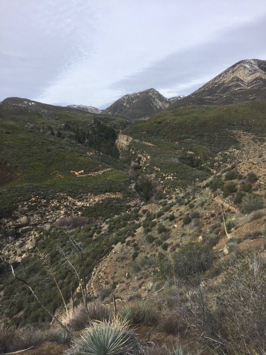 REMYMAC12's tweet image. Hiked 18 miles solo yesterday, a new PR for me! 🙌🏼😎🏞 #SespeWilderness #RamblinMan