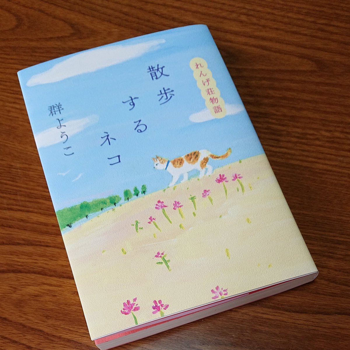 ほのぼの系小説