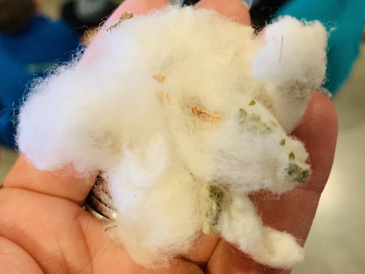 teaguesecond's tweet photo. Raw cotton; an elevator ride and a look at real artifacts and tools used by the first pioneers. https://t.co/6YVNFWdZBO