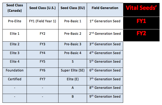 Vital Seeds tweet media