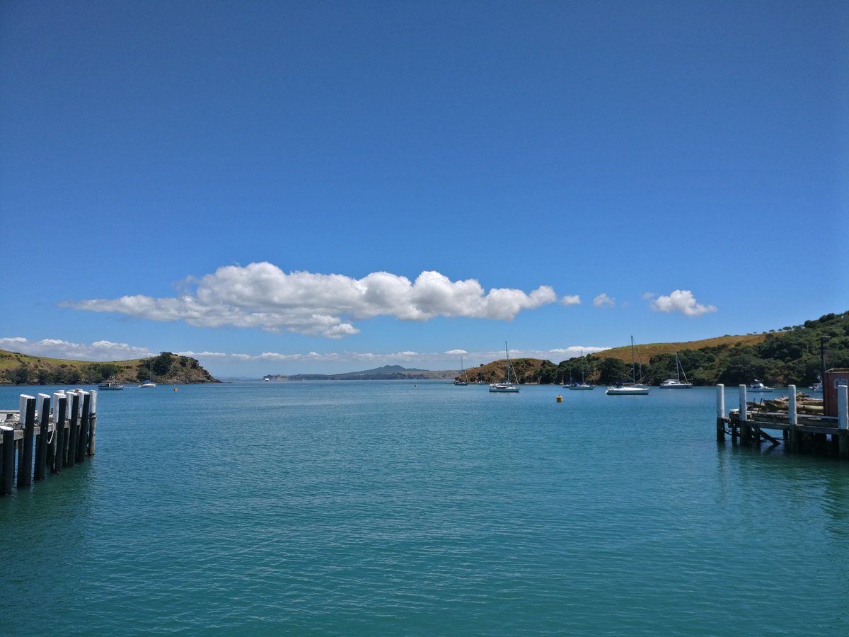 SarahJKnight1's tweet photo. What a stunning day to set up for a new ferment trial on Waiheke. Science has to be one of the coolest careers! @ScienceUoA https://t.co/hpGotGRqEQ