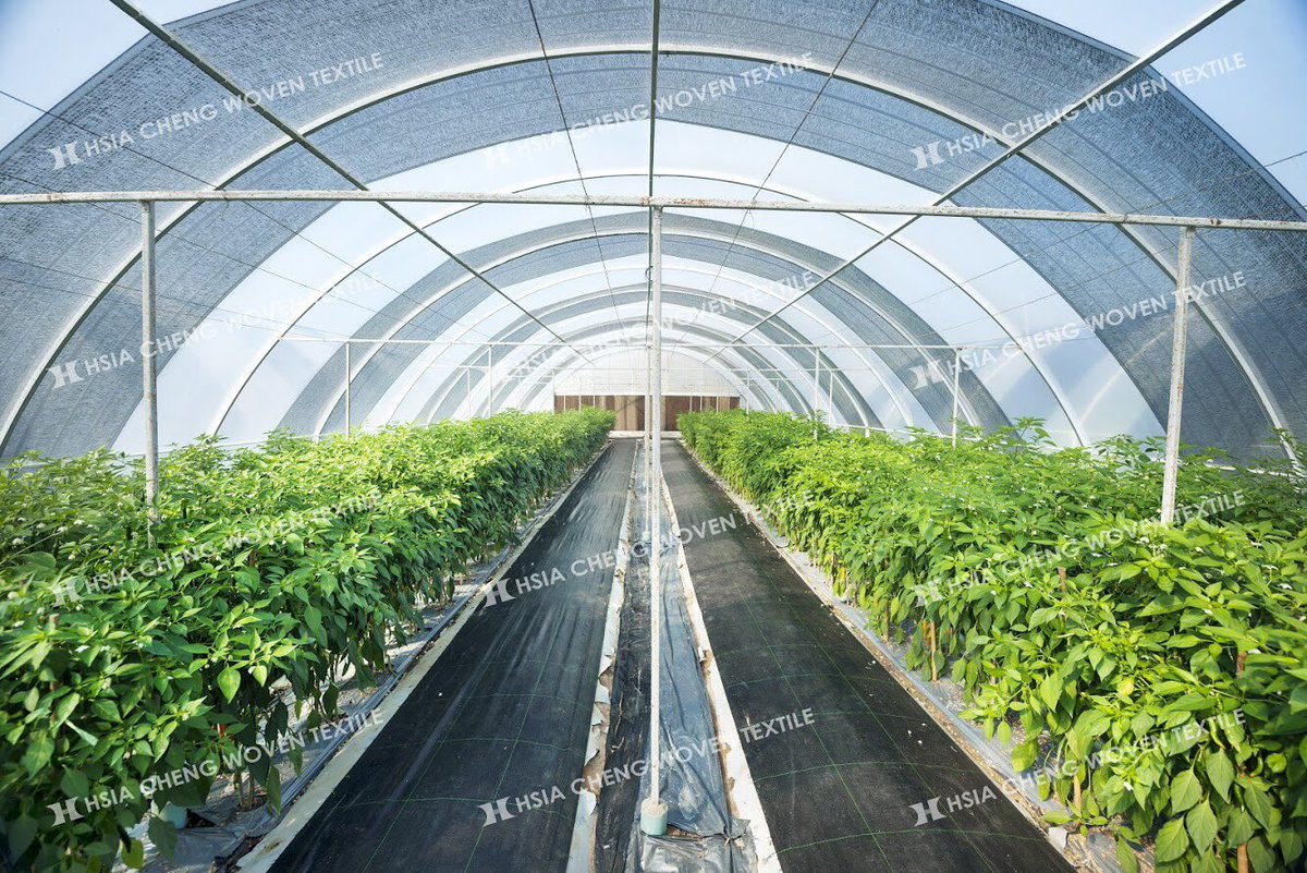 HsiaChengWoven's tweet image. #insectnet #antiinsectnet #insectnetting #agriculture #greenhouse