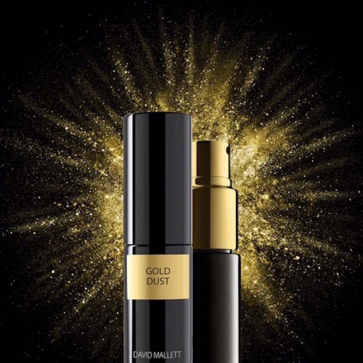 Happy Valentines with a bit of Gold Dust❤️❤️❤️....#volumepowder #hairstyle #davidmallett #luxury #expert #valentines_day