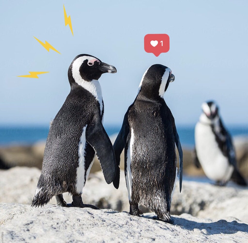 SaDynamice's tweet photo. Stay chilled, keep calm and POWER up before the big date tonight! ⚡❤️ Happy Valentine's Day, Cape Town. We love you! #dynamicesa #energisemyday #valentinesday https://t.co/A0RxH7Ckkp