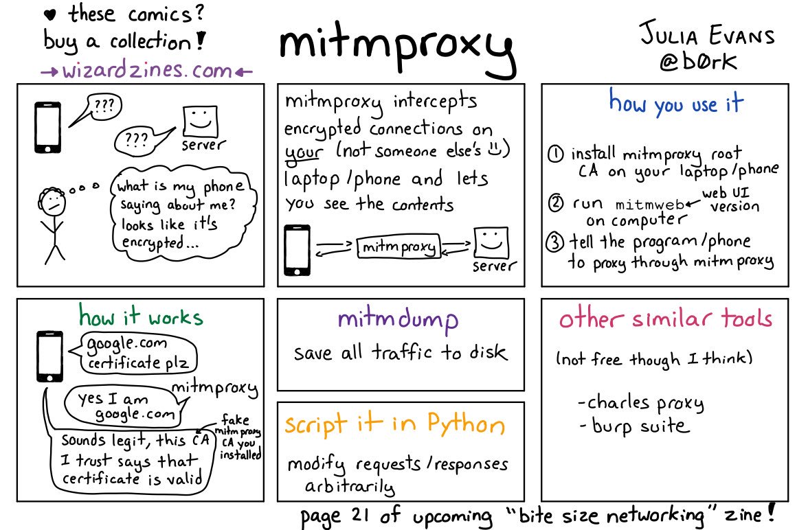mitmproxy