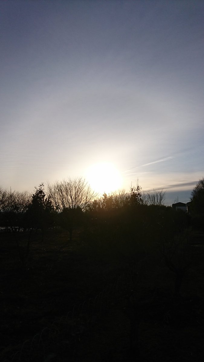 hiromimorita2's tweet image. こんにちは😊
冷たい風吹き鳥の囀り賑やかな朝
シクラメン花弁重なりほっこり💟
バレンタインデー横浜で見た
ハートのオブジェ❣️
感謝の心に優しい笑顔で
寄り添い支え合い前向きに☆
一人やっぱり寂しい🌟
お礼の会に行ってきます☺
柔らかな午後を😊❤️🍀💞
#朝空
#シクラメンの花💝 
#バレンタイン