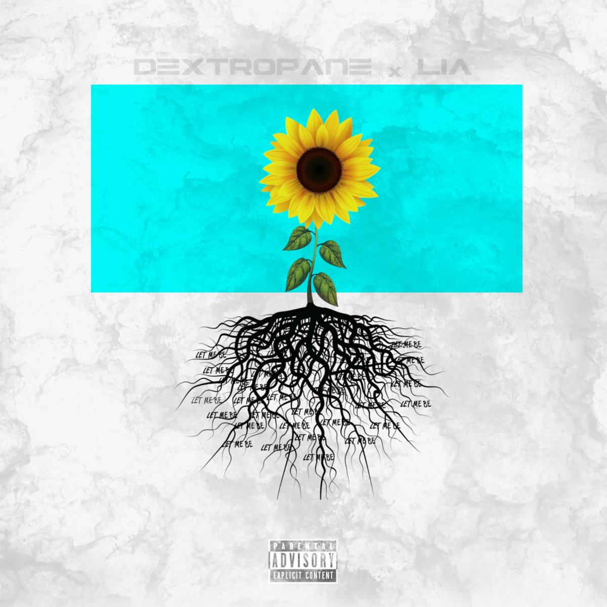 dankie dexter tweet media