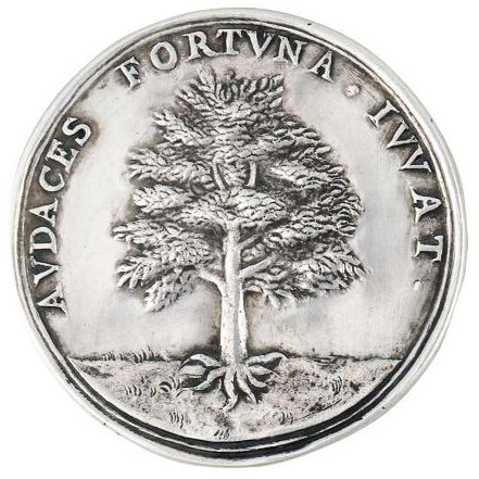 spottedgeckgo's tweet image. 