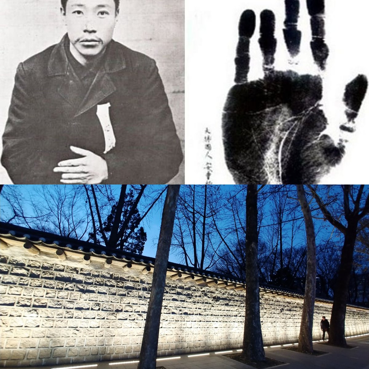 오늘은 #발렌타인데이 입니다. 최근 완전체로 개방한 덕수궁 돌담길은 야간에 더 예뻐요. 인연과 두 손 꼭 잡고 걸으시면 사랑이 💗💗💗하지만 2월 14일 발렌타인데이 초콜릿 보다 더 보다 더 기억해야 할 것은 바로 안중근의사가 사형신고를 받은 날입니다. 모두 잊지 말아야겠습니다.#덕수궁