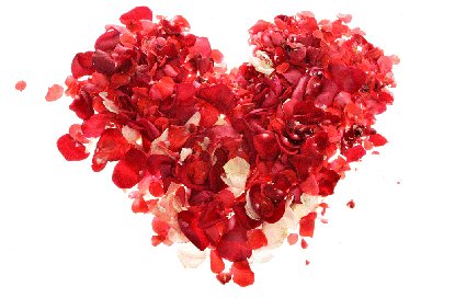 We wish you a very happy Valentines Day! We hope that you all have a great day celebrating! #love #bemyvalentine #haringtonshotel