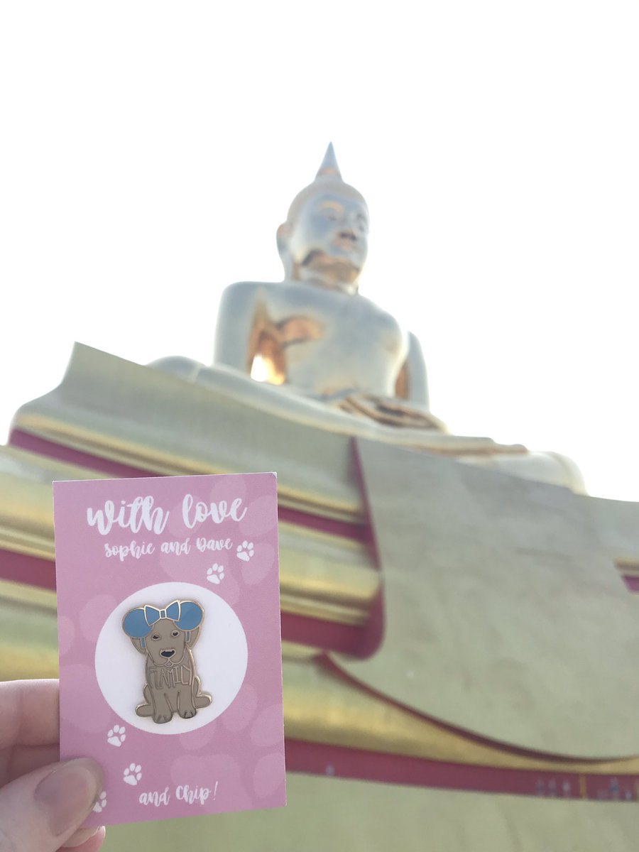 katie_mac48's tweet photo. Chip took a trip to Thailand with me these past few weeks! I think he’s having a good time 🐘🇹🇭☀️❤️ #chipflamily @TheDaveMonster @itsSophieBelle https://t.co/V2SAYLeg0f