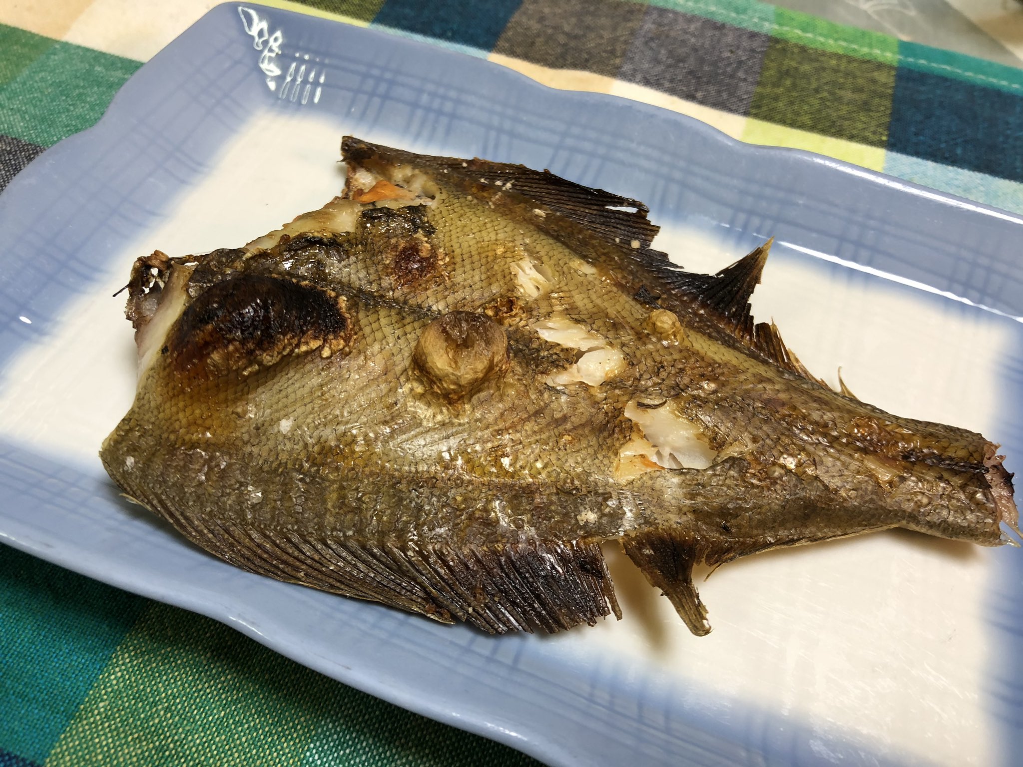 カレイの塩焼き Twitter Search Twitter