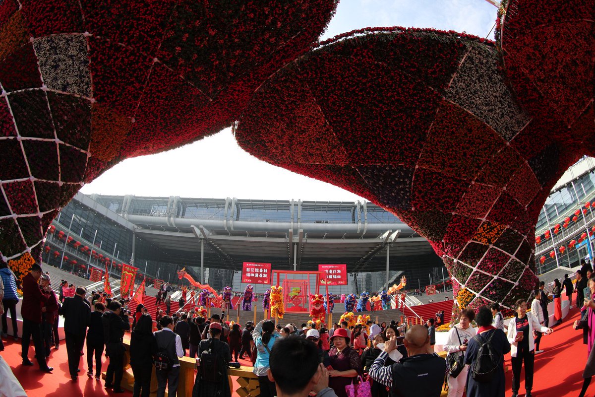Allen27914885's tweet photo. Visitors watch a lion dance that opened the 2019 Shenzhen Spring Festival Flower Fair at the Shenzhen Convention and Exhibition Center in Futian District on Thursday. More reports you can find here : https://t.co/bLWhkD9yvH https://t.co/TFvuBaMHIk