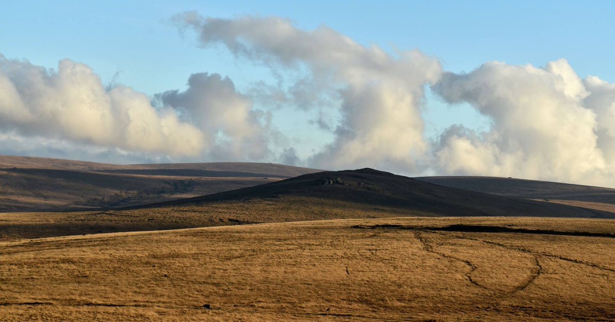 A repost from 2 years ago this very day, unashamedly sharing again, 2 hearts for double the love! #HappyValentineDay #lovedartmoor #lovedevon #loveukweather